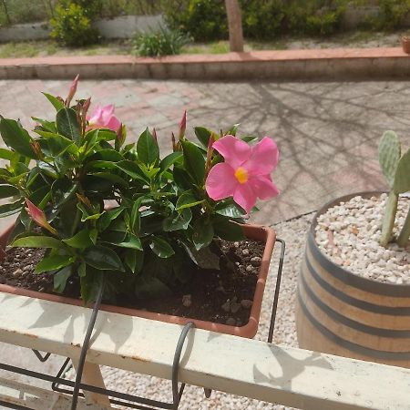 B&B Lara Santola Corato Exterior photo