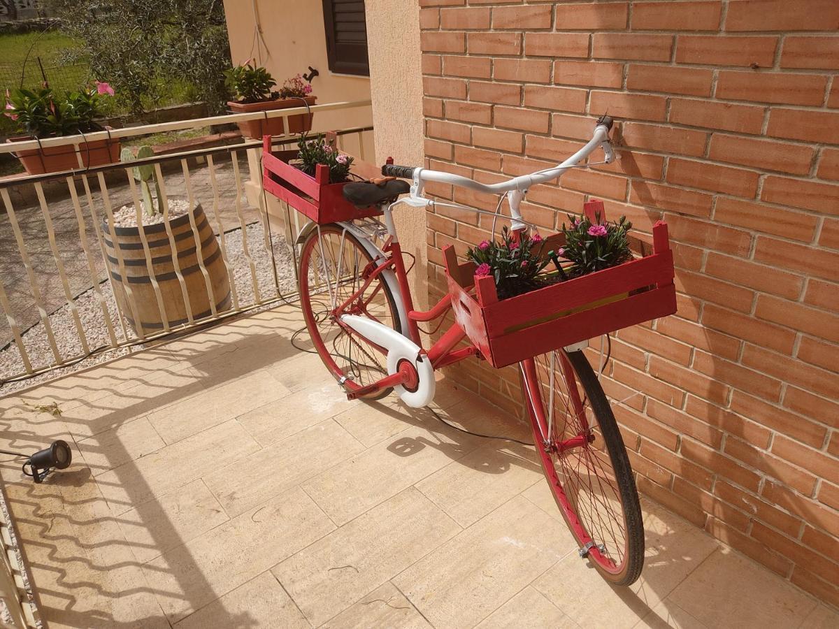 B&B Lara Santola Corato Exterior photo